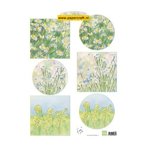 IT601 Tiny’s Flower Meadow 1