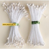 26.4339 Matt & Pearl Pearl White