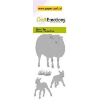 115633/0210 Schaap Met Lammetjes
