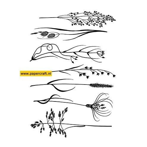 JGB003 Rushes & Grasses