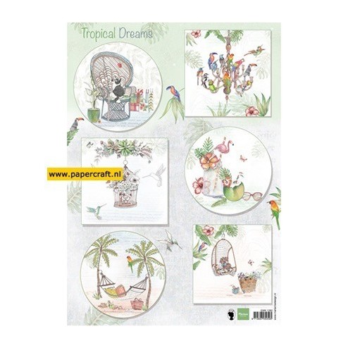 EWK1260 Els Tropical Dreams