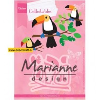 COL1457 Eline’s Toucan