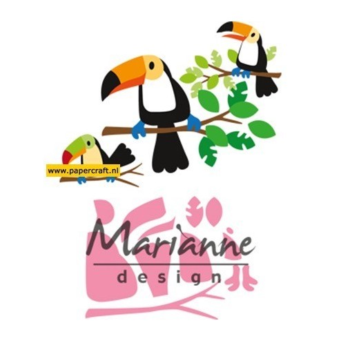 COL1457 Eline’s Toucan