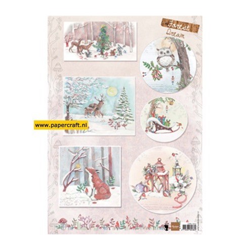 EWK1262 Els Forest Dream 1