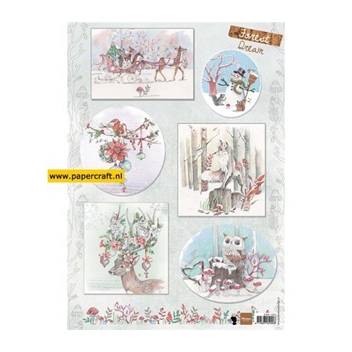 EWK1263 Els Forest Dream 2