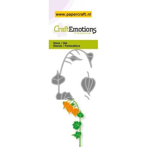 115633/0227 Lampionplant 3D
