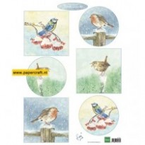 IT605 Tiny’s Birds In Winter