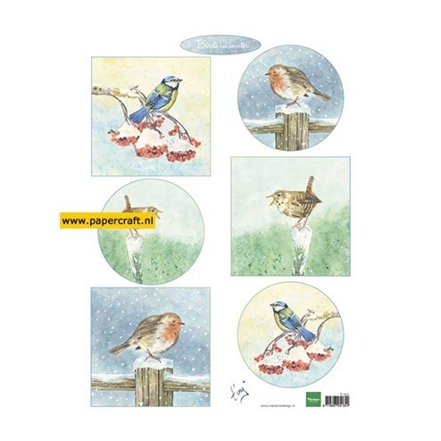 IT605 Tiny’s Birds In Winter