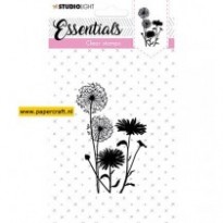 STAMPSL351 Essentials 351