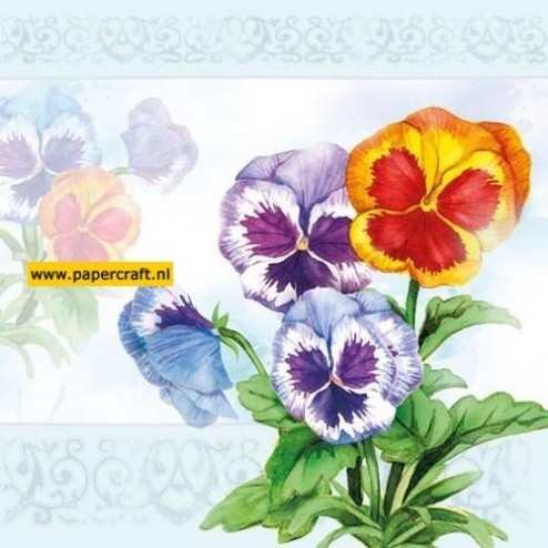 111330/9335 Aquarell Viooltjes