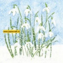 111330/9610 Sneeuwklokjes In Sneeuw