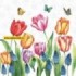 111331/1525 Tulpen