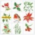 111330/4420 Winter Garden