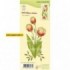 55.5732 3D Flower Tulip