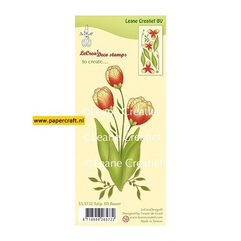 55.5732 3D Flower Tulip