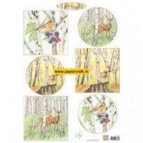 IT612 Tiny's Autumn