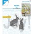Joy! Crafts Stencil Hazen, code: 6002/1484