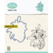 HDCS005 Lily