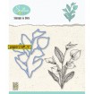 HDCS007 Anthurium