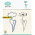 Nellie's Choice Flowers Poppy uit de Flowers Serie Stamps & Die, code: HDCS008