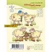55.6333 Schapen