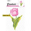 STAMPSL427 Essentials Collection Stempel 427