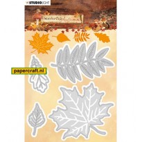 Studio Light Embossing Die Wonderful Autumn Nr 308, code: STENCILWA308