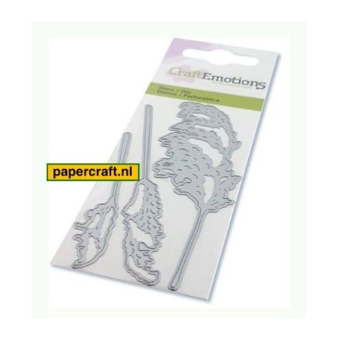 CraftEmotions Die Droogbloemen Pampasgras Pluimen, code: 115633/0272