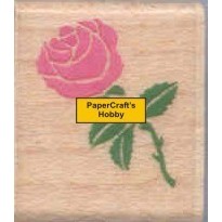 577E Rose