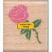 478A Tiny Rose