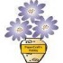 B2542 Pop Flower in Vase