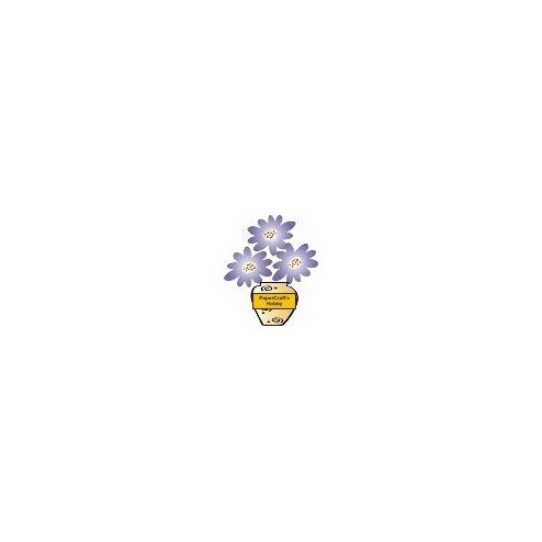 B2542 Pop Flower in Vase