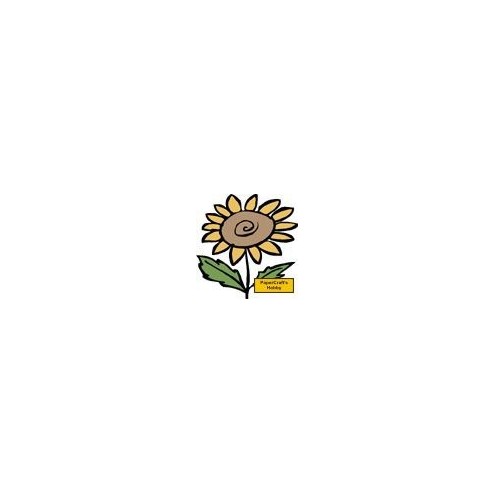 C2443 Garden Sunflower