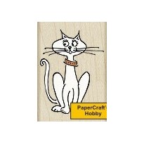 C3939 Kitty