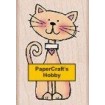 C4328 Cute Cat