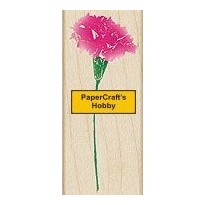 D2976 Real Carnation