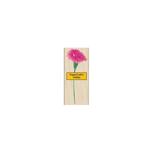 D2976 Real Carnation