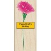 D2976 Real Carnation