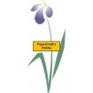 F2438 Iris