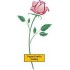 F2531 Artistic Rose