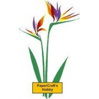 F2535 Artistic Bird Of Paradise