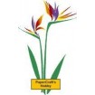 F2535 Artistic Bird Of Paradise