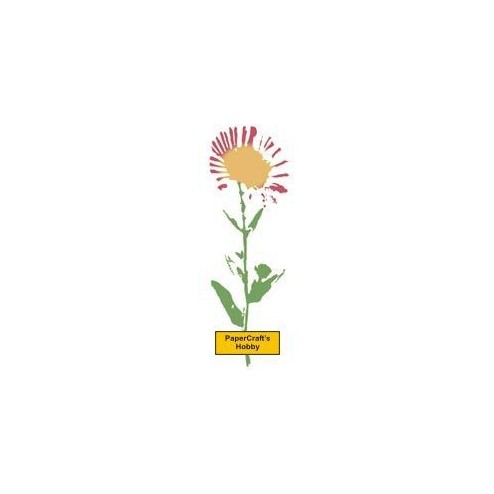 F2663 A Real Daisy