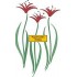 H2651 Brush Art Flowers