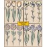 LL630 Flower Prints