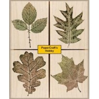 LL683 Prints From Nature