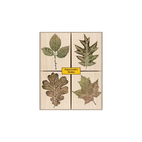 LL683 Prints From Nature