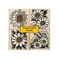 LL741 Daisies Bloom