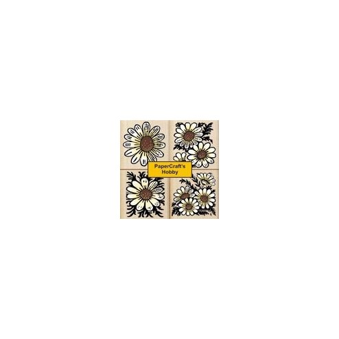 LL741 Daisies Bloom