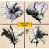 LL753 Petal Etchings